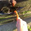 Handy Hook - 10 Pack - Image 6